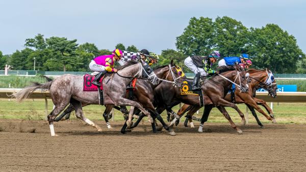 Can You Bet on Horses at U.S. Casinos Online? | America's Best Racing