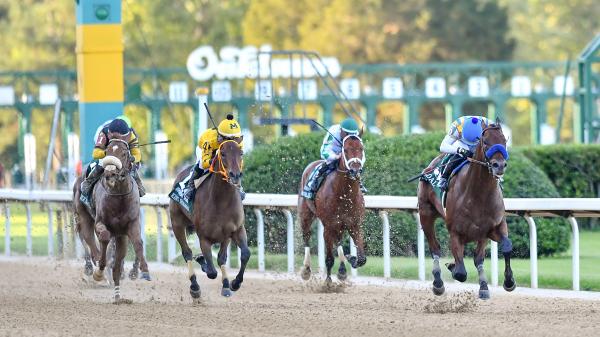 America's Best Horses for May 4 | America's Best Racing