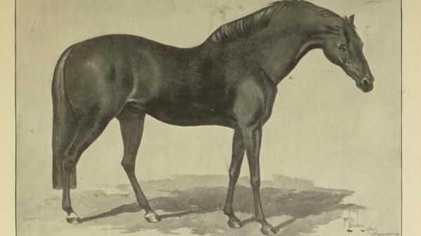 ゴドルフィン・アラビアン（the Godolphin Arabian）像 ゴドルフィン・アラビアン（the Godolphin Arabian）像 - メルカリ