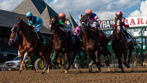 Ren Carothers’ Pedigree Play: Betting Young Sire Power Sunday at the ...