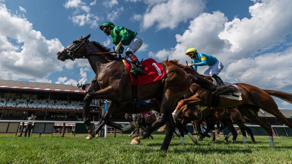 Ren Carothers’ Pedigree Play at Saratoga for Aug. 7 | America's Best Racing