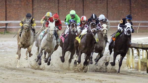 Can the Favorite be Beaten in Kentucky Jockey Club? - Vimarsana News