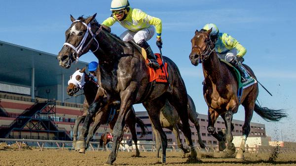 Sunny Ridge Looms Large in Charles Town Classic | America's Best Racing