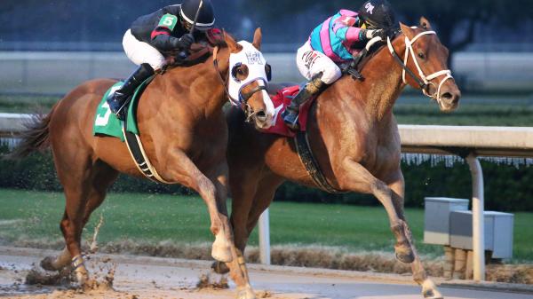 Owner Moore on Evaluating Racing Prospects, Taking Shot in Rebel With Twilight Blue - Vimarsana News