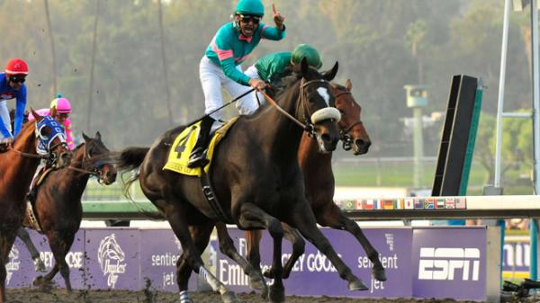 The Magnificence of Inspirational Fan-Favorite Zenyatta