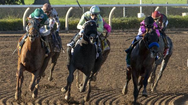 Road to Breeders’ Cup: Sneak Peek at Awesome Again, Arc de Triomphe ...