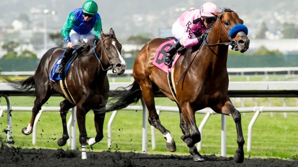 Top Win Contenders in the 2020 Bing Crosby Stakes | America's Best Racing