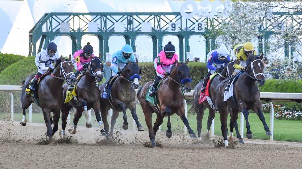America's Best Horses for April 12 | America's Best Racing