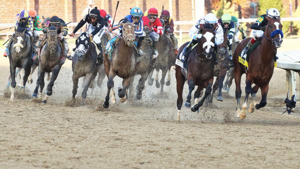 America's Best Horses for Sept. 8 | America's Best Racing