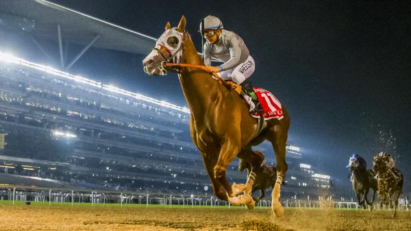 Global Sensations: The Five Best Dubai World Cup Winners