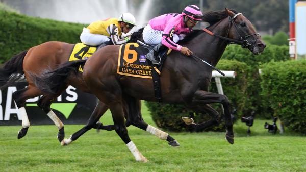 A Closer Look Casa Creed and His Chances in the 2023 Breeders’ Cup ...