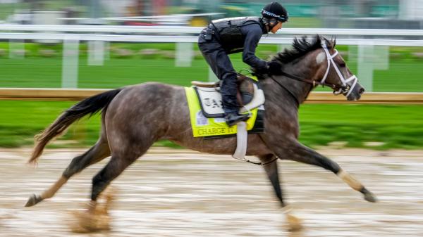 Live Longshots and Value Bets for Kentucky Oaks, Kentucky Derby Day - Vimarsana News