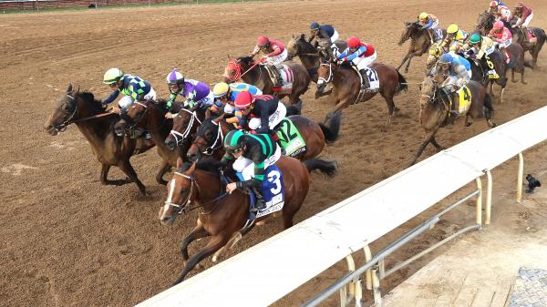 ダービースタリオン for win DERBY STARION Scored an Brand New/Old Stock Derby Stallion Skeleton Saturn