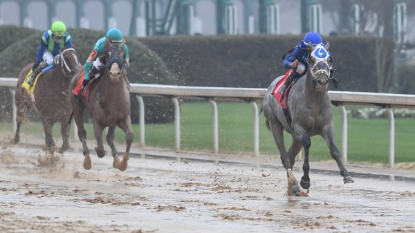 Which 2021 Kentucky Derby Runners Could Benefit from a Wet Track? - Vimarsana News