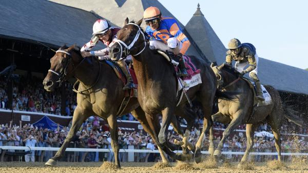 Travers Win Moves Fierceness to No. 1 in Breeders’ Cup Classic Rankings ...