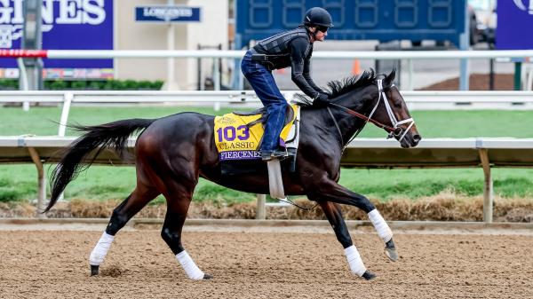 fierceness_BC_train_DMR_eclips