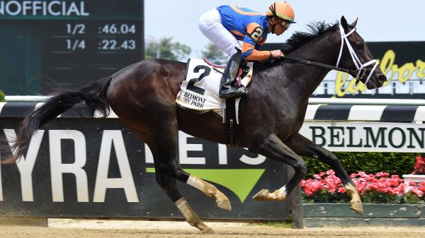 Ren Carothers’ Pedigree Play: Powerful Female Family the Key in Sanford ...