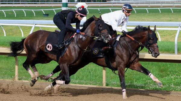 Golden Tempo Remains Atop 3-Year-Old Power Rankings Ahead of Belmont ...