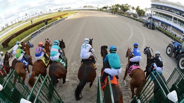 Kentucky Derby Futures: February's Fast-Rising Contenders - Vimarsana News