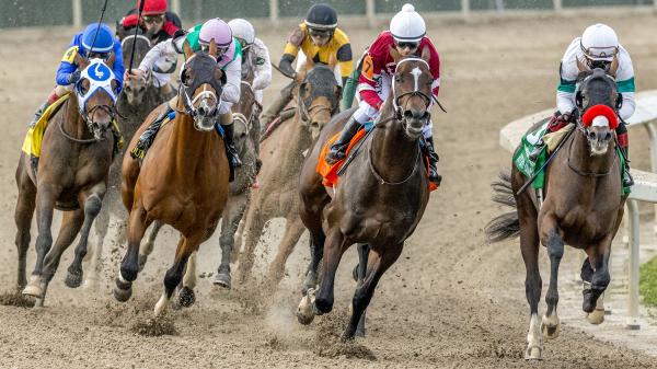 2021 Derby Trail: Three Heating Up, Three Cooling Down for March 23 ...