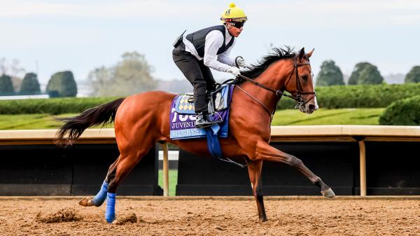 Hughes Highlights 2025 Breeders' Cup Juvenile Field at Keeneland