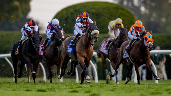 Road to 2021 Breeders' Cup: Three Heating Up, Three Cooling Down
