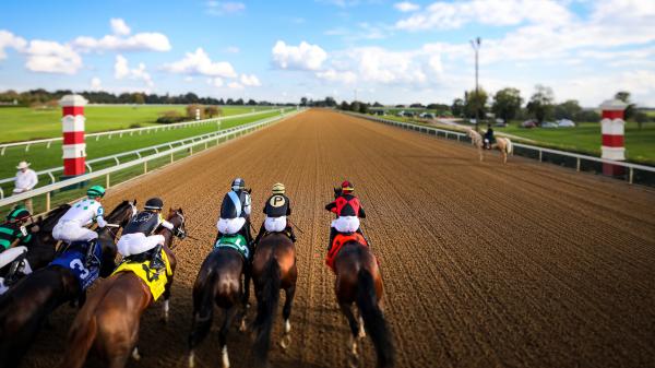 StableDuel Contest Picks for Keeneland’s Wednesday Oct. 13 Card ...