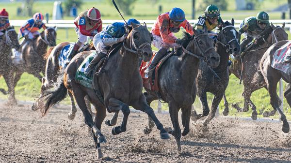 2024 Kentucky Derby Trail: Three Heating Up, Three Cooling Down for ...