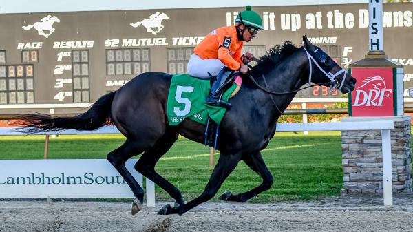 2024 Kentucky Derby Prospect Profiles: No More Time | America's