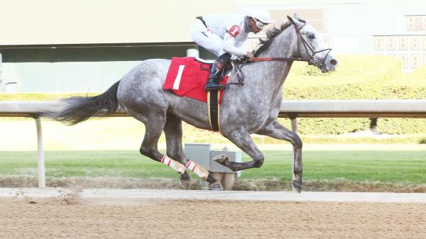 Betting A 15 1 Longshot In The Lexington Stakes America S Best Racing