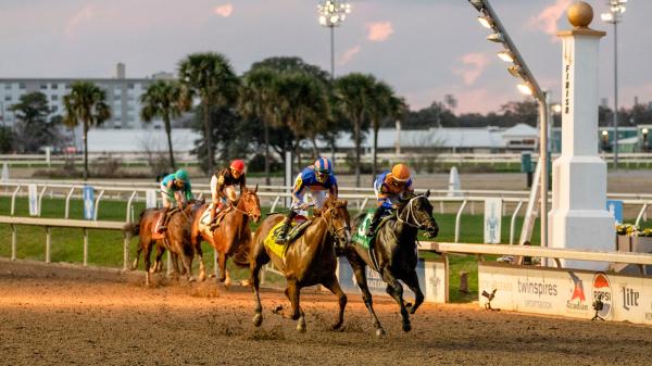 Byron King’s Derby Dozen for Feb. 19 | America's Best Racing