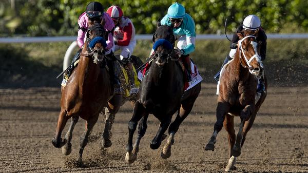 America's Best Horses for Feb. 22 | America's Best Racing