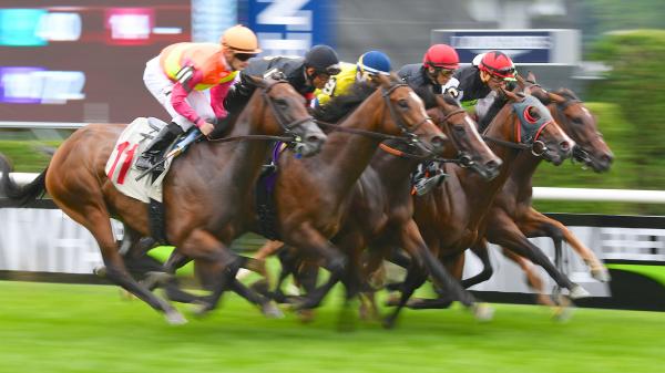 Ten Facts About Racehorses You Need to Know | America's Best Racing