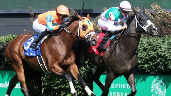 Road to 2021 Breeders' Cup: Three Heating Up, Three Cooling Down