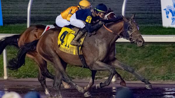 ダービースタリオン for win DERBY STARION ダービースタリオン for win DERBY STARION IMG_5501.JPG