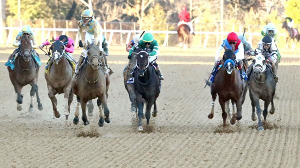 2026 Kentucky Derby Path: Three Heating Up, Three Cooling Down for Feb. 10
