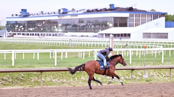 www.americasbestracing.net