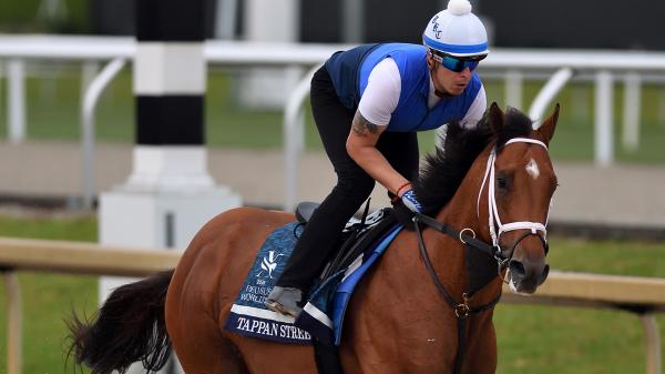 Can Tappan Street Repeat Florida Derby Win in 2026 Pegasus World