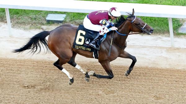 Equibase Standings: Thorpedo Anna Rockets to Third in Earnings After ...