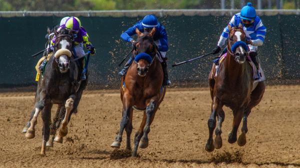 America's Best Horses for Aug. 3 | America's Best Racing