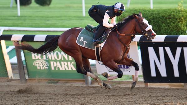 2020 Belmont Stakes Cheat Sheet | America's Best Racing