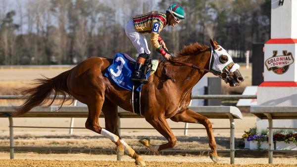 Power Rankings: Virginia Derby Score Moves American Promise Into Top 10 ...
