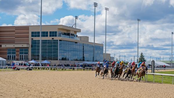 BloodHorse Year in Review Survey: Industry Panel Discusses Racing ...