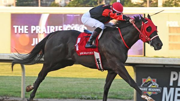 Inspiring Storyline, Swell of Support Propel Unbeaten Iowa-Bred Tyler's Tribe to Breeders' Cup - Vimarsana News