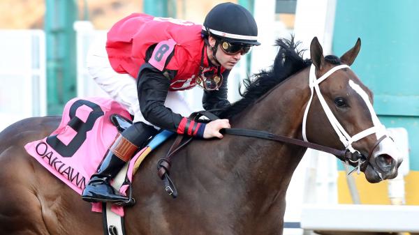 2023 Kentucky Derby Hopeful Snapshots: Victory Formation - Vimarsana News