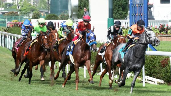 2026 Wise Dan Stakes at a Glance | America's Best Racing