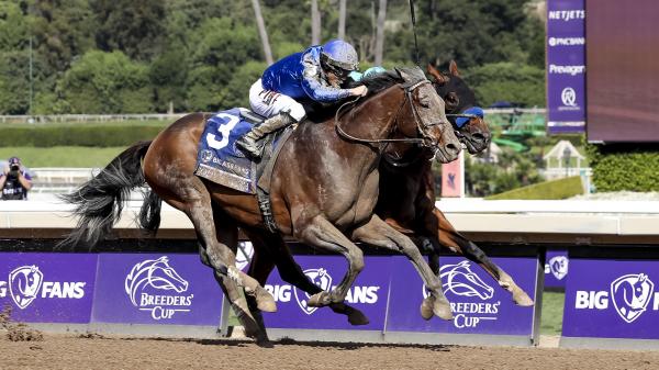 Cody’s Wish: Making Dreams Come True at Breeders’ Cup | America's Best ...