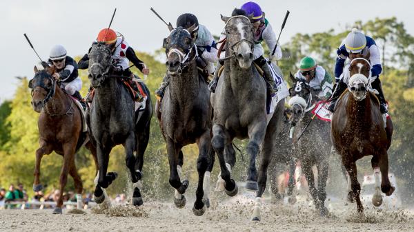 Best Bets: Focus on Florida, Tampa Bay Derby Longshot - Vimarsana News