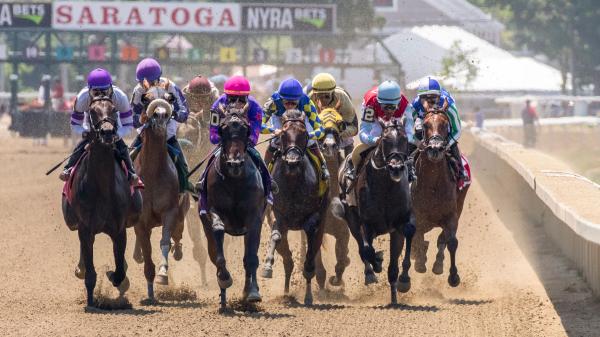 Ren Carothers’ Pedigree Play: Exploring the Power of Affinity | America ...