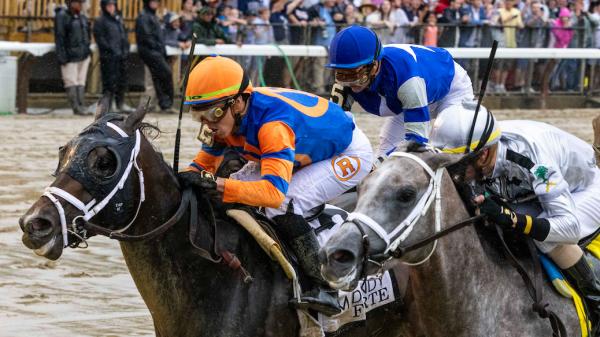 Forte Moves to No. 2 Behind Cody's Wish in Breeders' Cup Classic